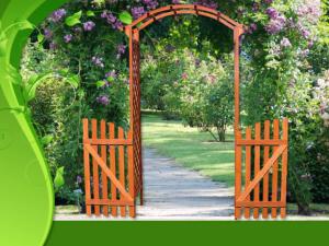 PERGOLA en bois avec portillons, brun