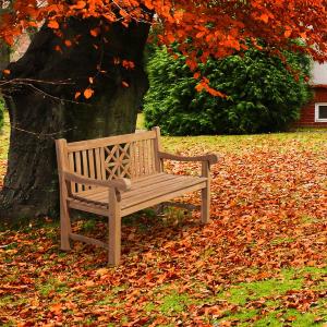 BANC de jardin 150 cm, haute qualité, teck massif